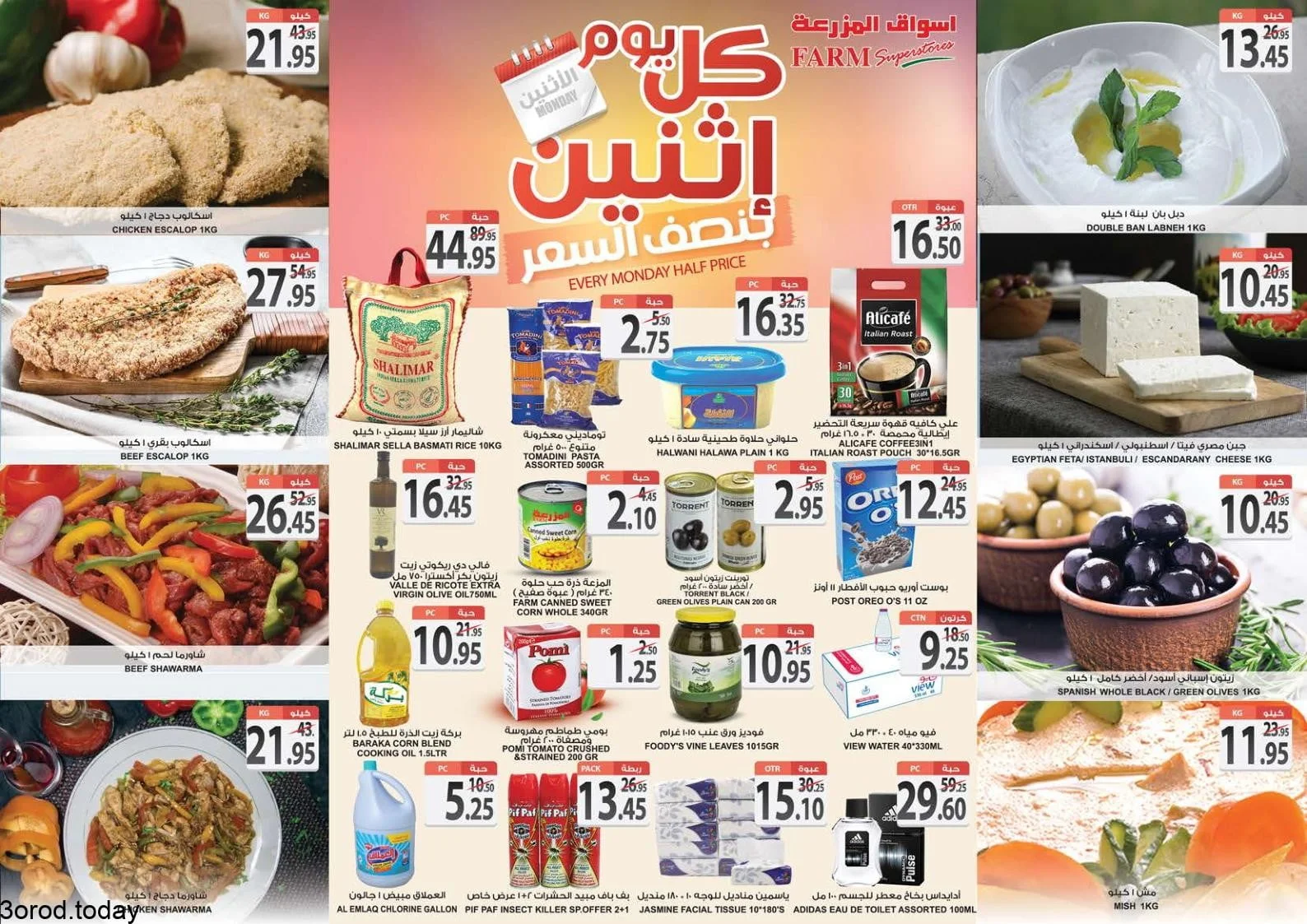 186634601 2821960894721553 4224027762337669460 n