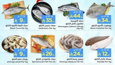 590435459 831858169813074 7748900759138362513 n - عروض الأسماك في نستو الدمام من 28 إلى 29 نوفمبر 2025