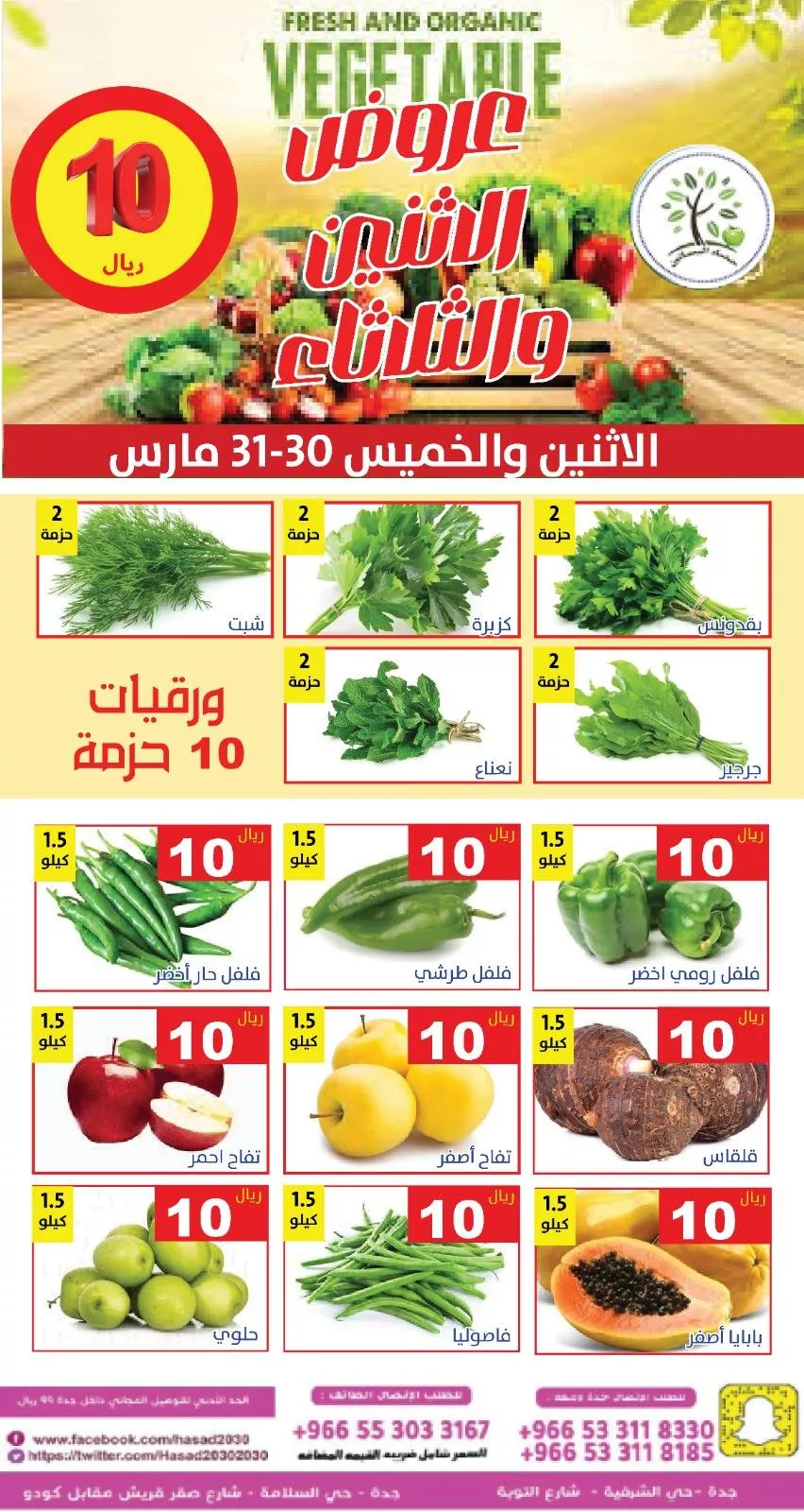 657536873 1272630471642305 4851873171233886499 n - عروض مؤسسة حصاد البساتين الطازج الاثنين 11 شوال 1447هـ لمدة يومان