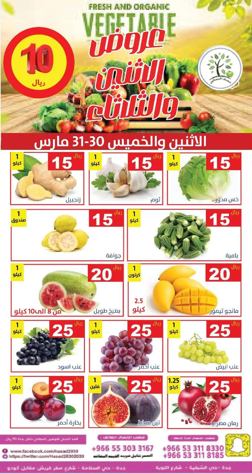 659178979 1272630404975645 7648068332884816472 n - عروض مؤسسة حصاد البساتين الطازج الاثنين 11 شوال 1447هـ لمدة يومان