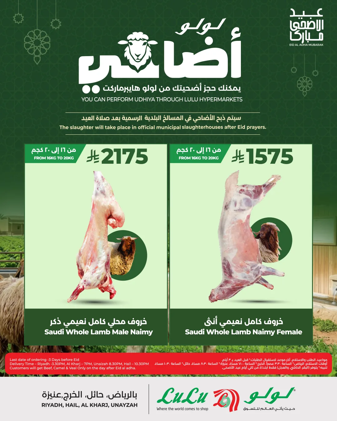696018252 979654397920682 1922643145589208175 n 1 وفر الآن مع عروض أضحية العيد 2026 في السعودية | اقل الاسعار