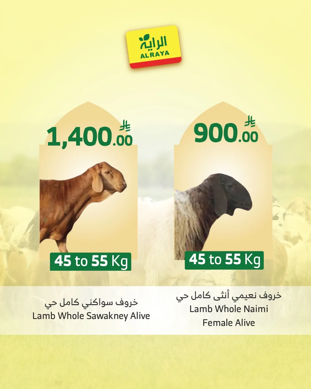 696368721 1279645280960373 1581869362467491745 n وفر الآن مع عروض أضحية العيد 2026 في السعودية | اقل الاسعار