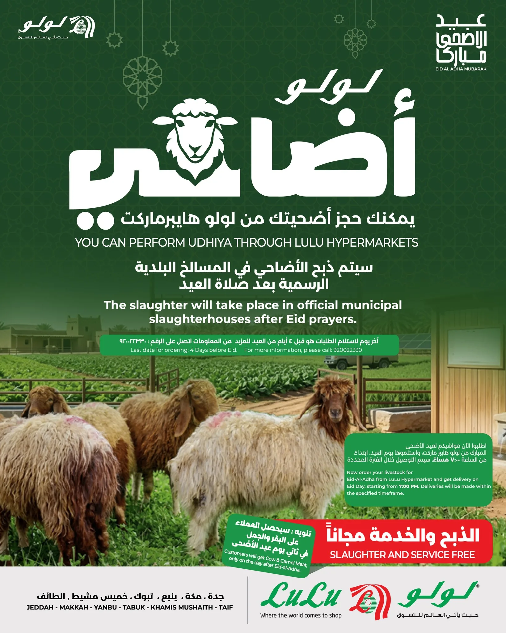 696923659 1449517287214545 2355365158440853478 n 1 وفر الآن مع عروض أضحية العيد 2026 في السعودية | اقل الاسعار