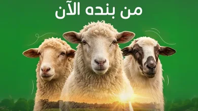 697276247 1391778802985028 1518878902294623426 n وفر الآن مع عروض أضحية العيد 2026 في السعودية | اقل الاسعار