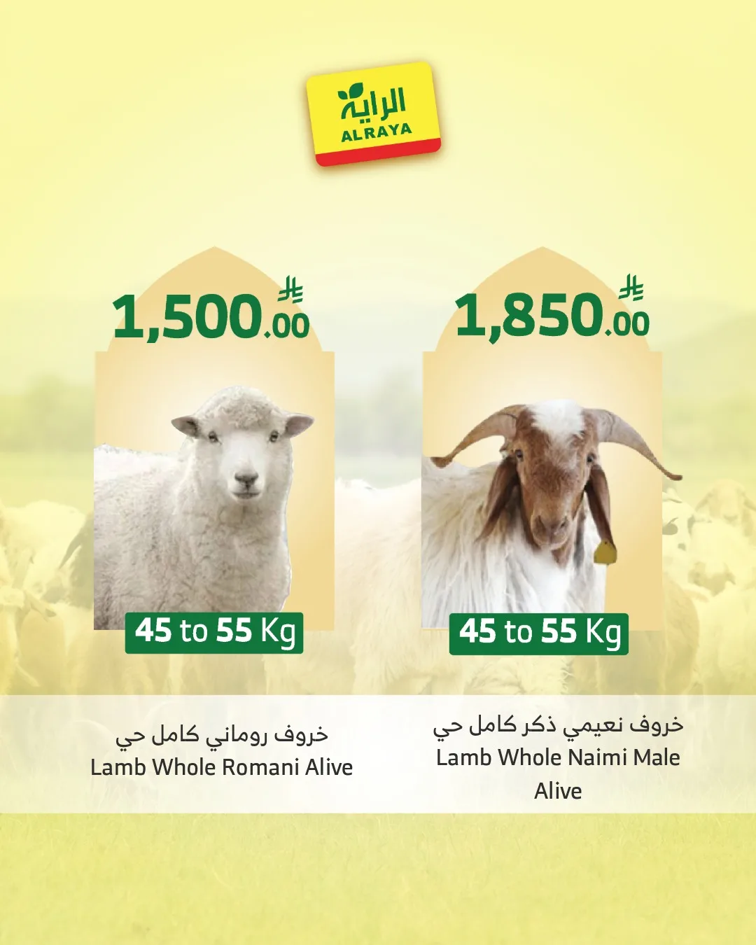 698919654 1279644910960410 8730653486657082320 n وفر الآن مع عروض أضحية العيد 2026 في السعودية | اقل الاسعار