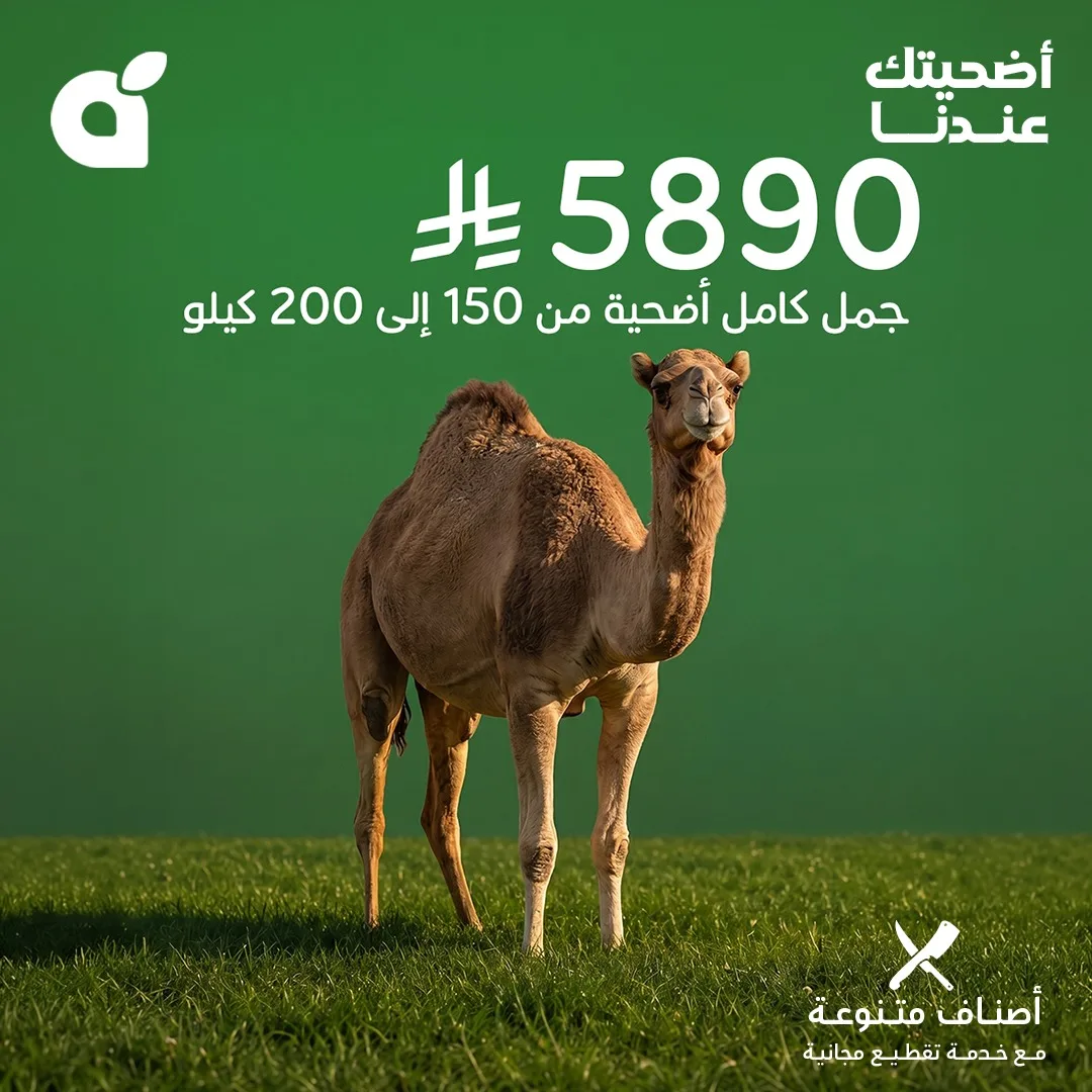 699035085 1391778952985013 4086222252382814414 n وفر الآن مع عروض أضحية العيد 2026 في السعودية | اقل الاسعار