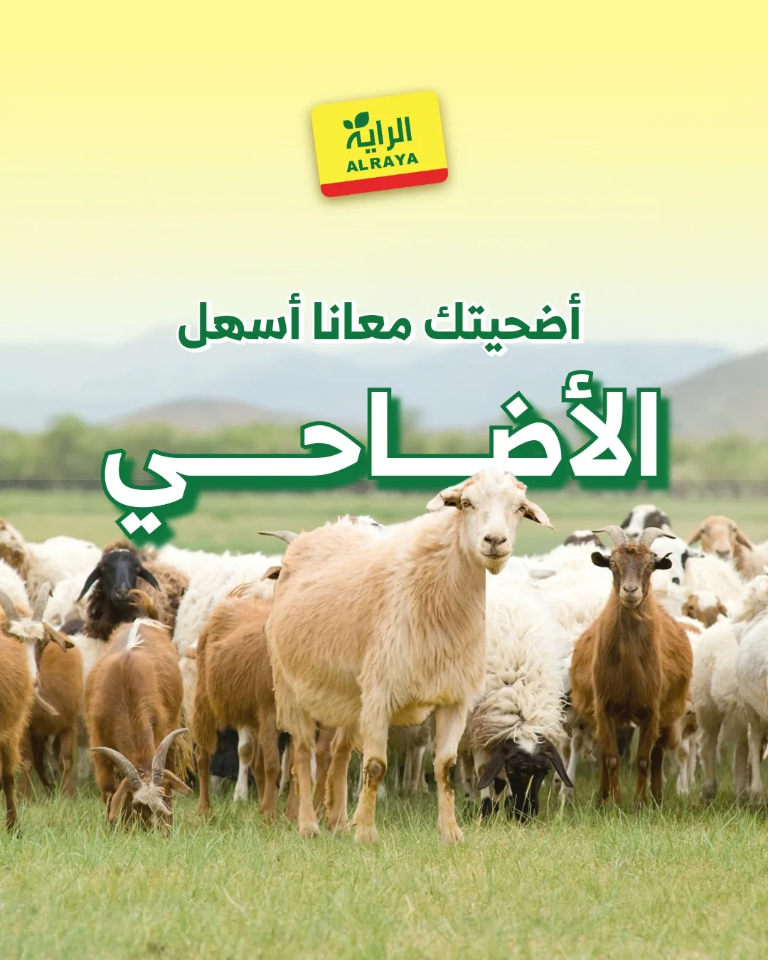 699752794 1279645370960364 6394166159905094391 n وفر الآن مع عروض أضحية العيد 2026 في السعودية | اقل الاسعار
